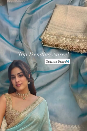 Embellished Sequinned Tissue Saree – Ethereal Shine with Timeless Festive Elegance